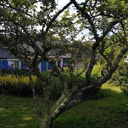 Saint Norgard - Hameau Breton Holiday home Crozon